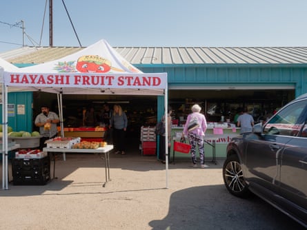 A view of the farm stand from the smooth dirt parking lot, with a white pop-up tent that says ‘Hayashi Fruit Stand’ in red letters with brightly colored images of fruit, shading a table and crates of fruit.