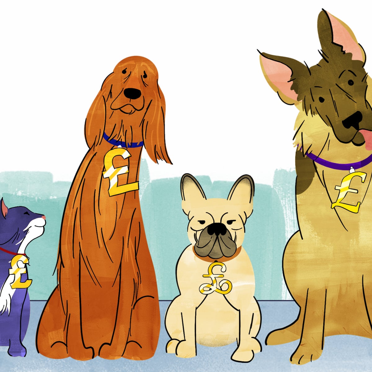 How to save money on pet care as the cost of living rises | Consumer affairs | The Guardian