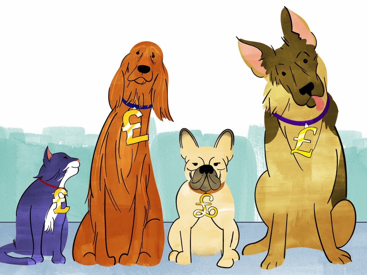 How Much Should I Charge For Dog Sitting All Day how-much-should-i-charge-for-dog-sitting-all-day