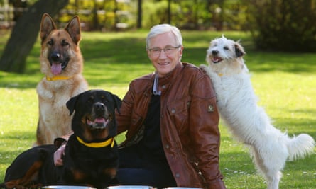‘He just cared about them so much’ … O’Grady with some rescue friends in Battersea park.
