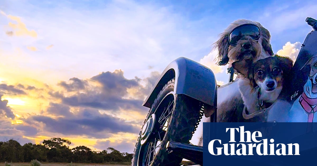 I always knew my dogs loved the wind on their faces': Thiago Bernardes de Souza's best phone picture