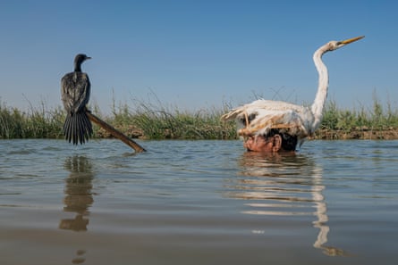 A man with a bird on his head stands chin-deep in water holding a bird perched on a semi-submerged branch