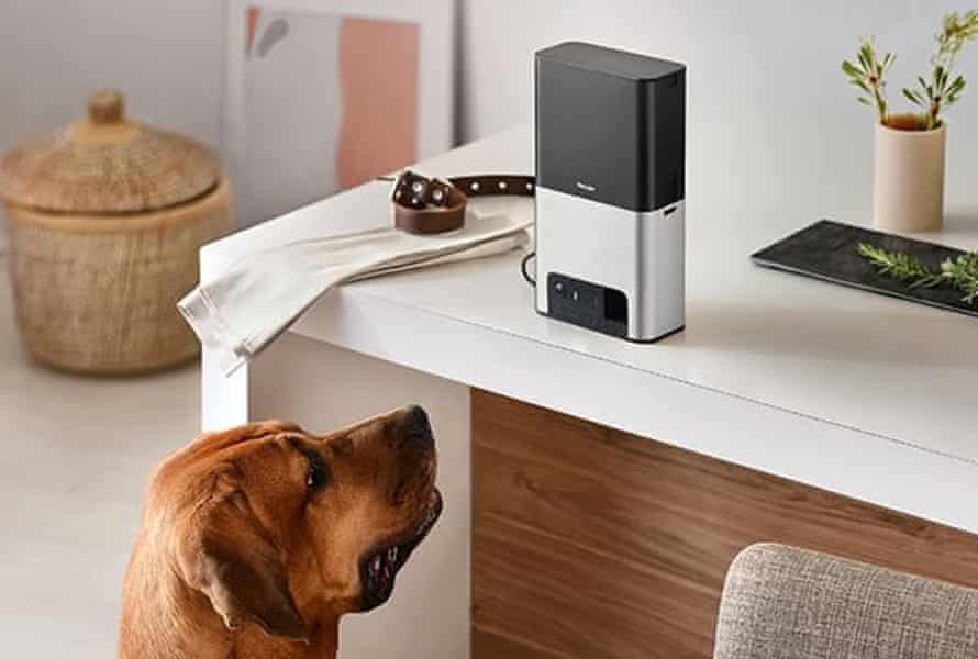 A dog looks at a Petcube device