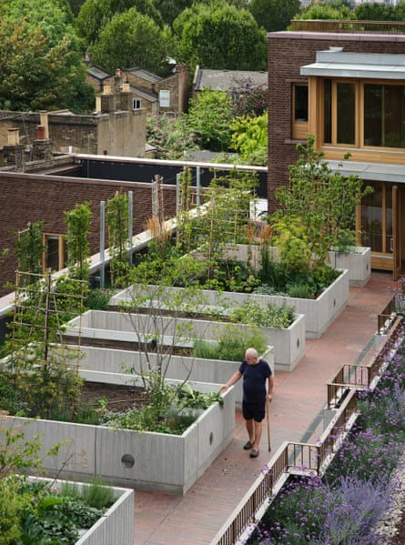 Cultivating produce for the kitchen … the rooftop gardens.