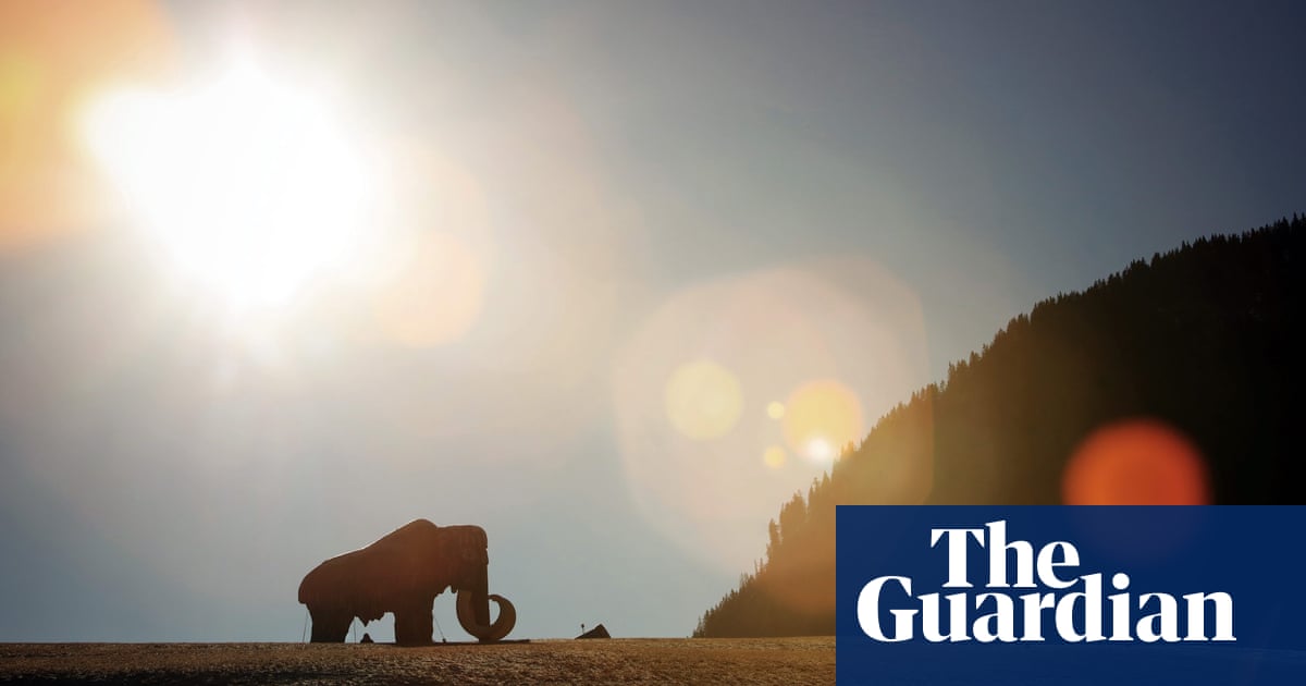 Happy new year eve eve Photo highlights of the day: New Year's Eve preparations and temperatures drop | News | The Guardian