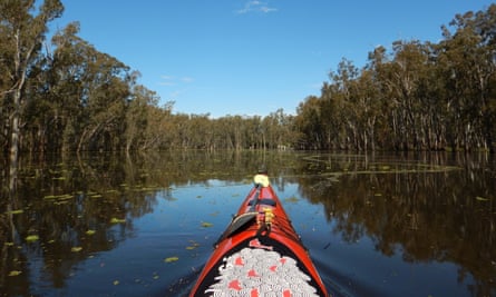 Peter Phillips on his journey kayaking along the Murray River sampling the blackwater in the 2016 flood, Barmah Forest.