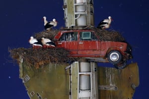Francisco Mingorance, Stork art, 
Finalist, Urban Wildlife