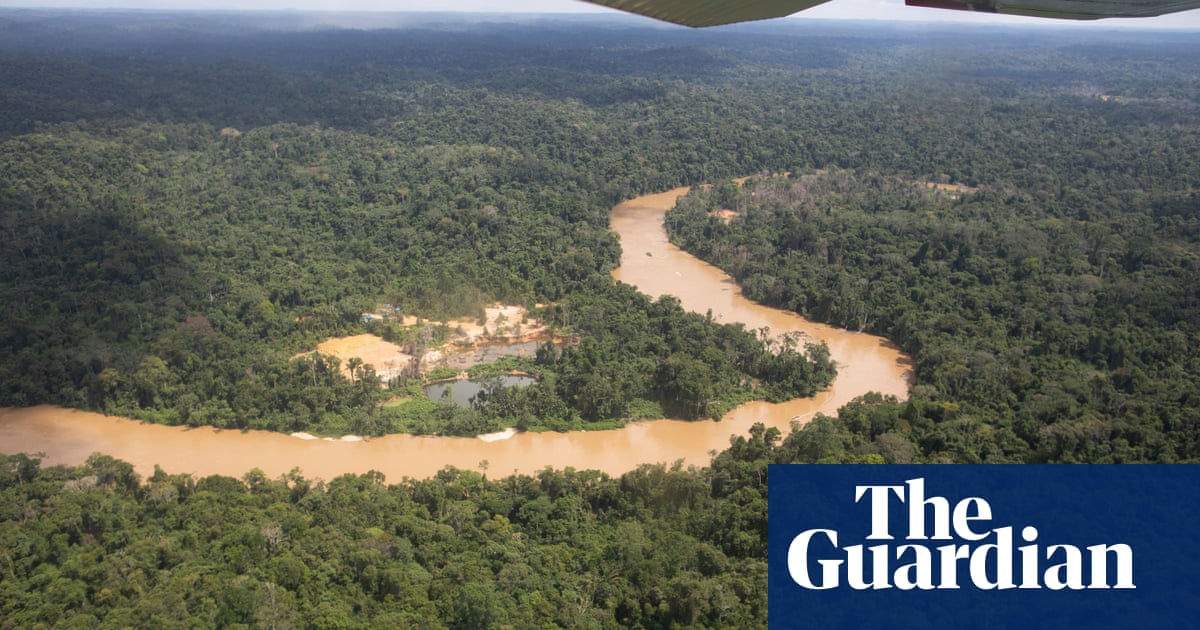 Amazon rainforest could reach ‘tipping point’ by 2050, scientists warn | Amazon rainforest