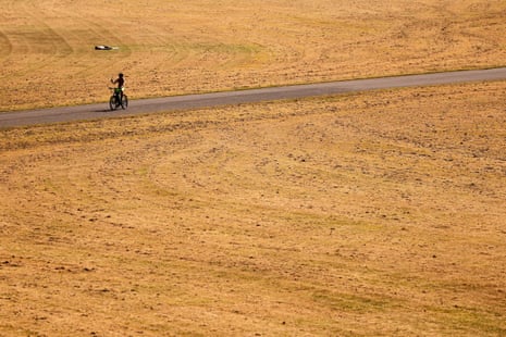 A visitor to the park rides his bike between dry meadows in the Rheinpark