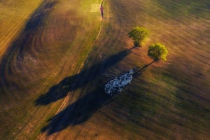 Shadow Game, Tuscany, Italy