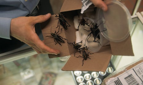 Thousands of creepy-crawlies, worth an estimated $50,000 (£38,000), were stolen.