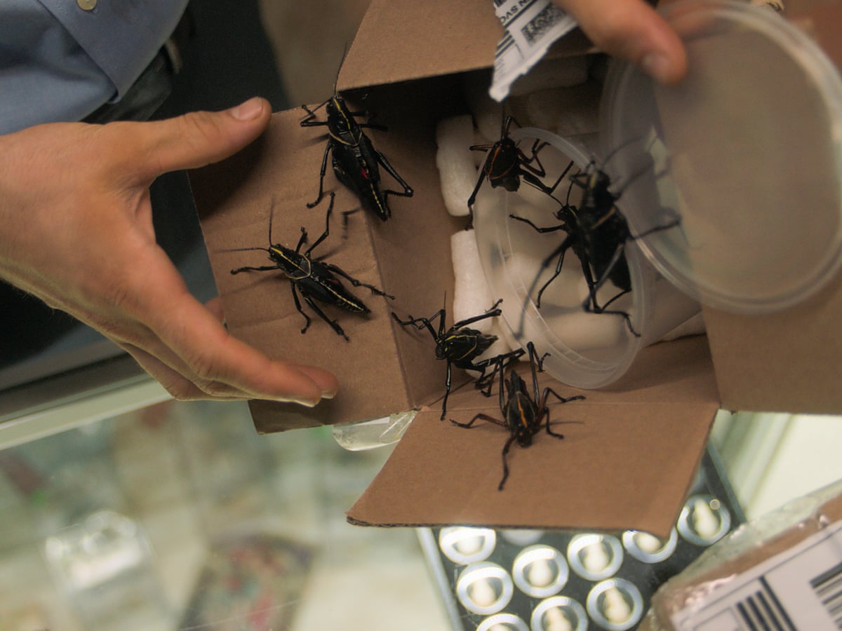 best pest control near me