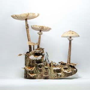 A trainer sculpture with mushrooms created by artist Christophe Guinet