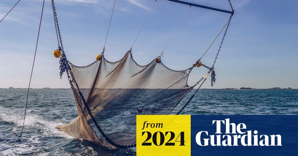 Carbon released by bottom trawling 'too big to ignore', says study | Fishing | The Guardian Carbon released by bottom trawling 'too big to ignore', says study | Fishing | The Guardian