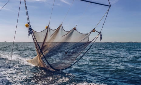 big fishing nets for ocean Mid Lakes Fish Net 36" Sliding Handle 22"X27" Mid Lakes Big Fish Net 22 x 27 with 36 Sliding Aluminum Handle Dimensions Beoccudo Extra Large Fishing Landing