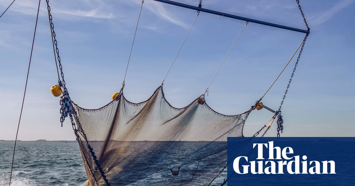 Addressing Ocean Heating and Overfishing: A Dual Imperative