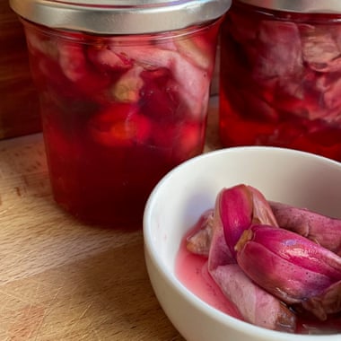 pickled magnolia