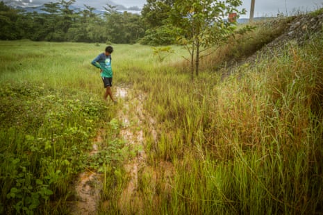 A man stands in a rice field