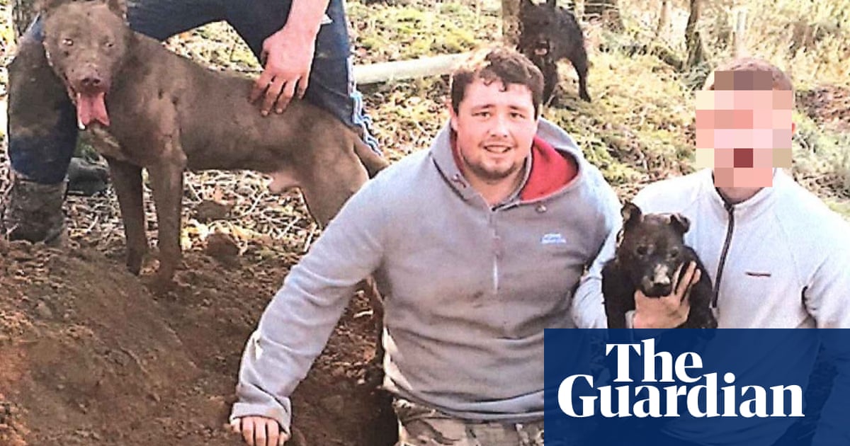 Gamekeeper jailed after using dogs to fight badgers and foxes