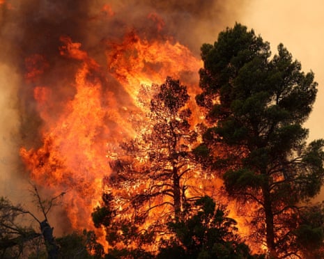 Wildfire burns near Agia Paraskevi, Greece