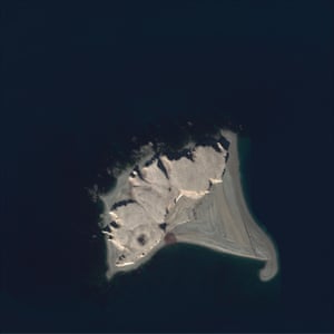This is an example of a satellite image of an Atlantic walrus haul-out.