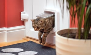 SureFlap Microchip Cat Flap