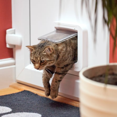 SureFlap Microchip Cat Flap