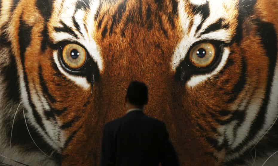 A man stands before a huge poster of a tiger