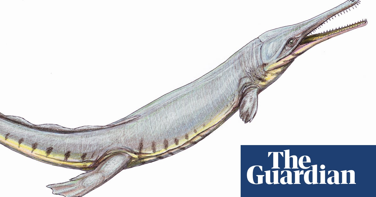 Ancient ocean-going crocodiles mimicked whales and dolphins - The Guardian