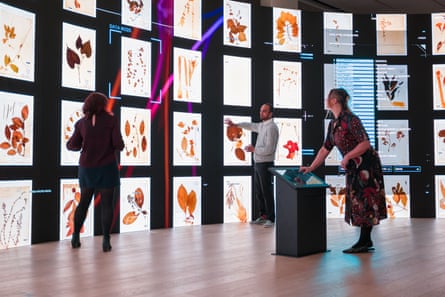 Refik Anadol’s “AI data sculpture” Archive Dreaming at the Schwarzman Centre for the Humanities, Oxford.