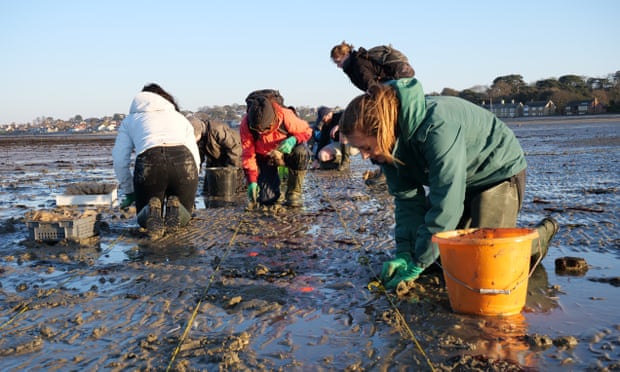 Volunteers at work.