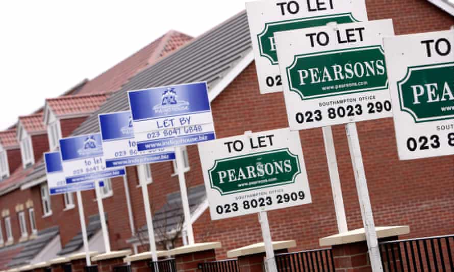 Long row of ‘to let’ signs outside what looks like a new housing development