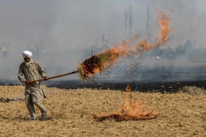 A farmer burns straw stubble after harvesting a paddy crop in a field in Amritsar