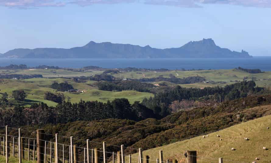 Brynderwyn Tepeleri'nin tepesinden Northland