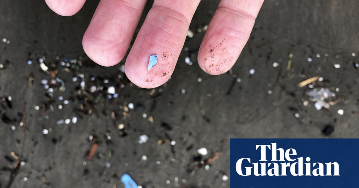 Microplastic particles equivalent to as many as 300m plastic water bottles are raining down on the Grand Canyon, Joshua Tree and other US national par
