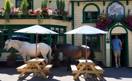 Two ponies stand in the shade outside a pub.