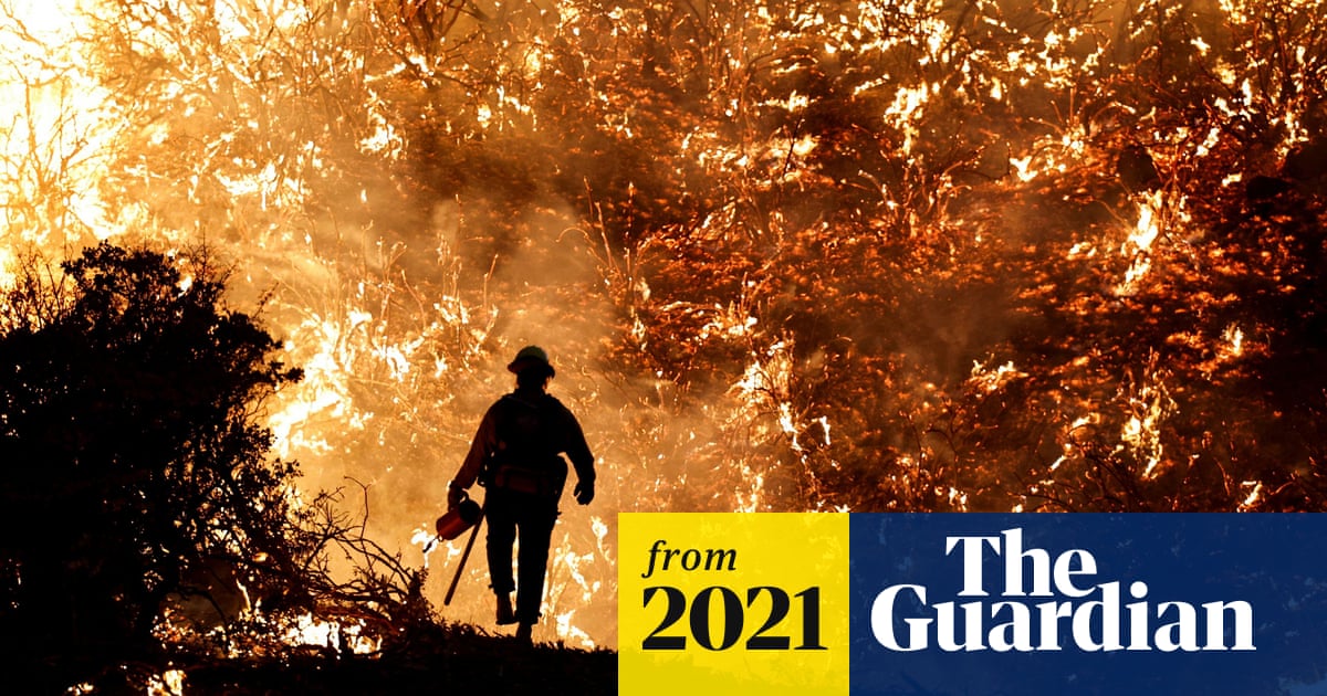 www.theguardian.com