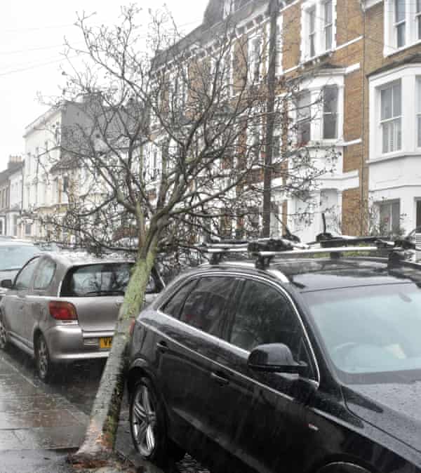 Fallen tree damage on two cars in London in 2020