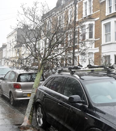 Fallen tree damage on two cars in London in 2020
