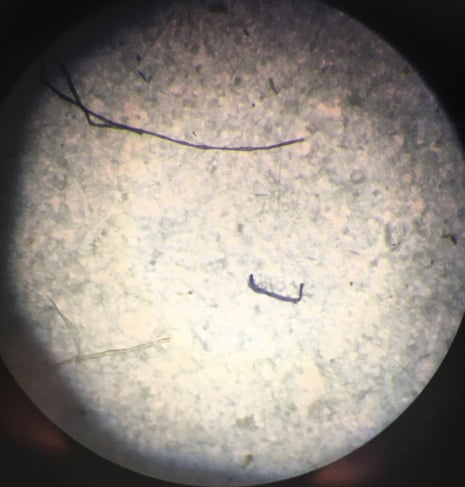 Plastic microfibres from Antarctic sea ice seen under a microscope.