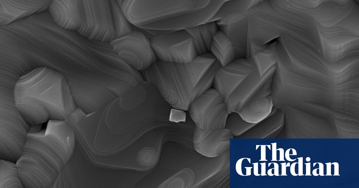 Zoom in: national science week prize puts photography under the microscope – in pictures