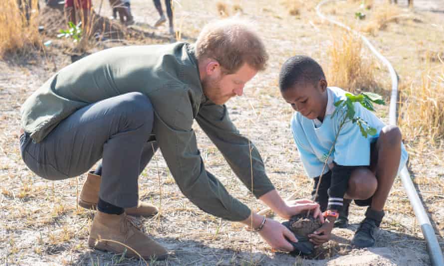 Science on climate crisis is undeniable, Prince Harry says | Climate change  | The Guardian