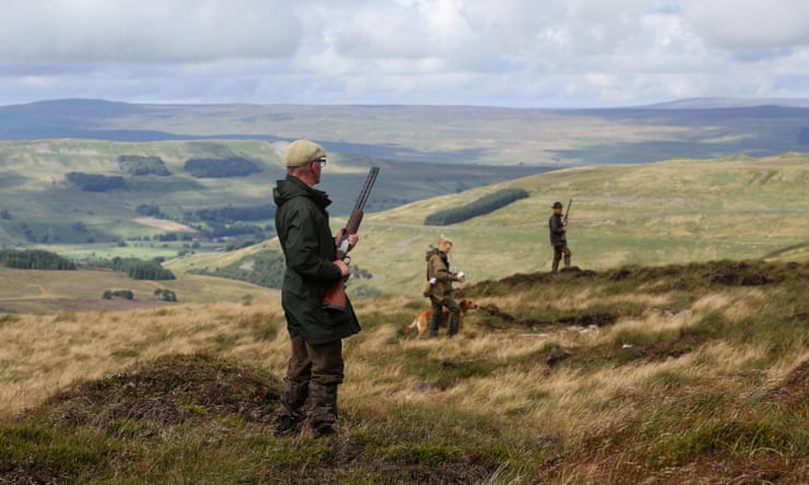 Promise to phase out lead from UK game shooting has failed, study finds Promise to phase out lead from UK game shooting has failed, study finds