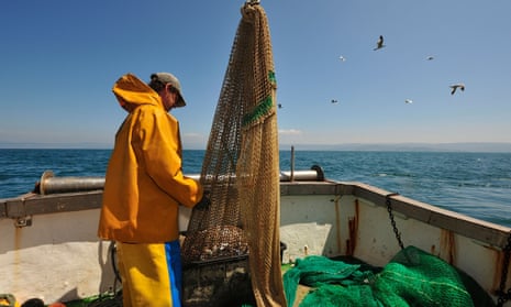 A fisher inspects a fishing net on a trawler in the Adriatic Sea