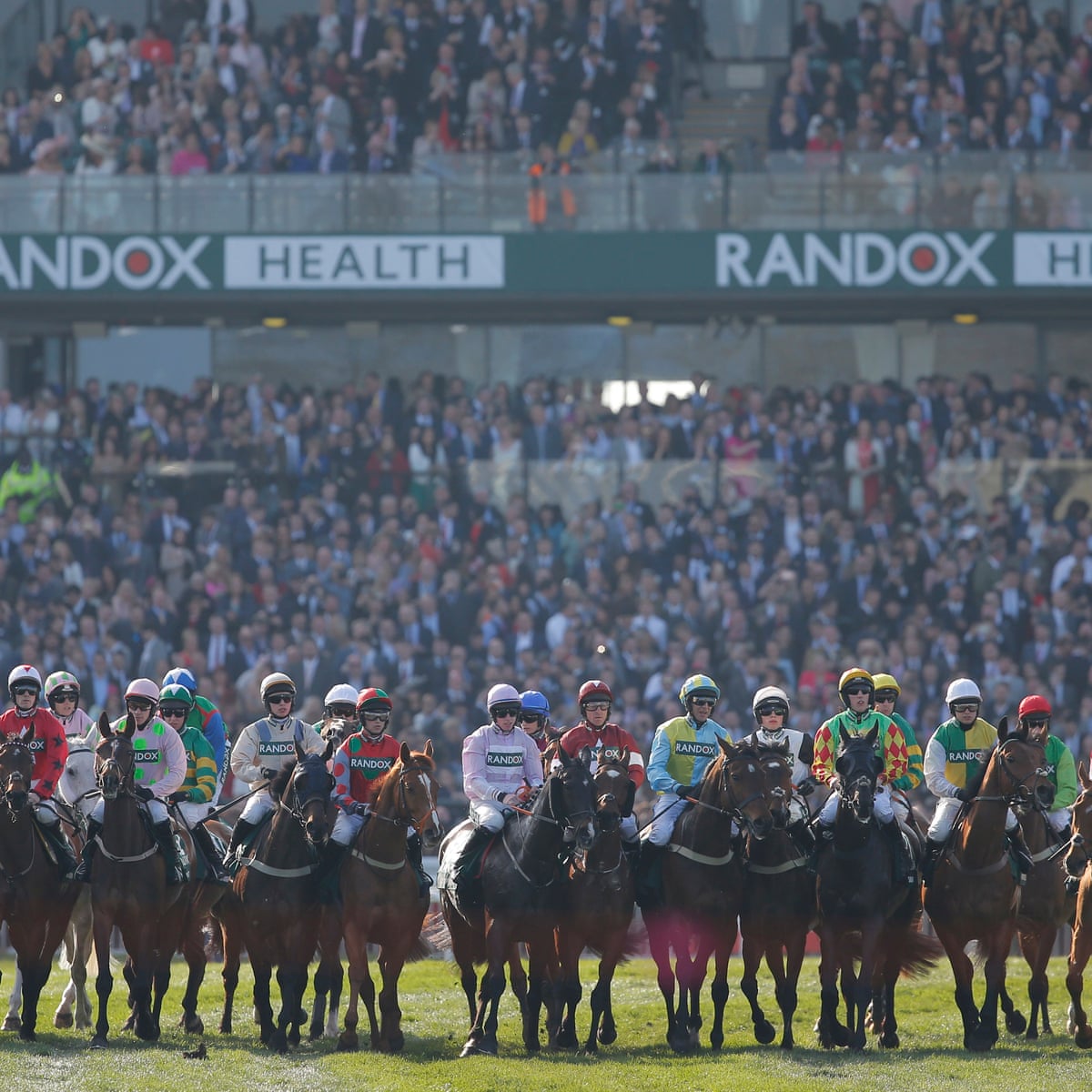 What horse to pick for the grand national parks What horse to pick for the grand national parks
