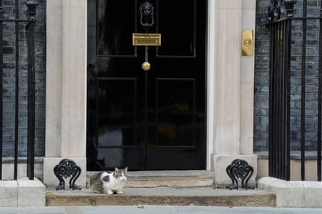 Larry the Downing Street cat – who has seen this all before (many times).