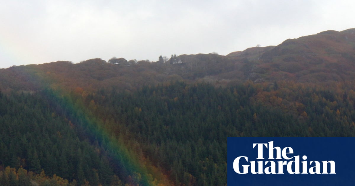 Country diary: A landscape transforming in front of my eyes | John Gilbey