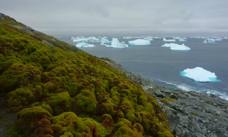 Cores drilled from three islands just off the Antarctic peninsula reveal that the warming climate has spurred on biological activity.