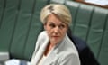 Minister for Environment Tanya Plibersek during Question Time in the House of Representatives at Parliament House in Canberra, Thursday, October 19, 2023. (AAP Image/Mick Tsikas) NO ARCHIVING