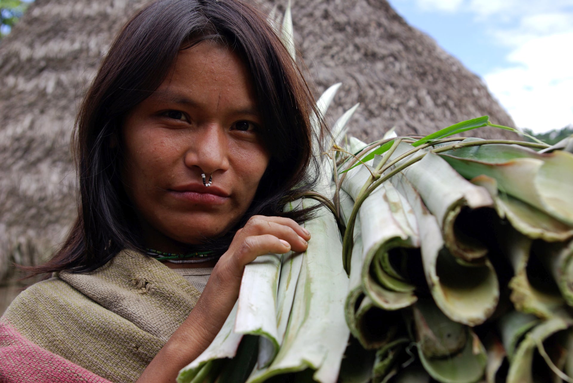 A Matsigenka woman from one of the indigenous communities in the Manu National Park in Peru. None of the communities have title to their land. Photograph: Glenn Shepard